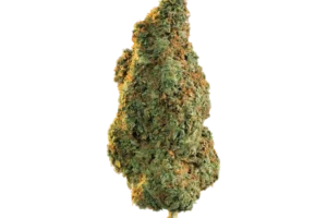 OG Kush