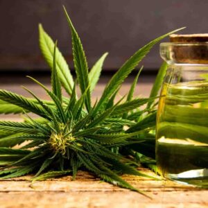 Tinctures & Oils